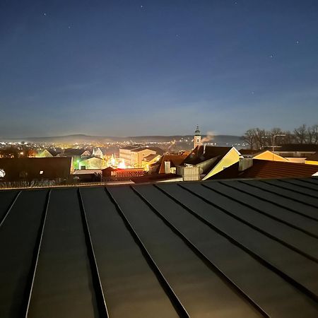 Luxus Loft Ueber Den Daechern Von Roding Εξωτερικό φωτογραφία